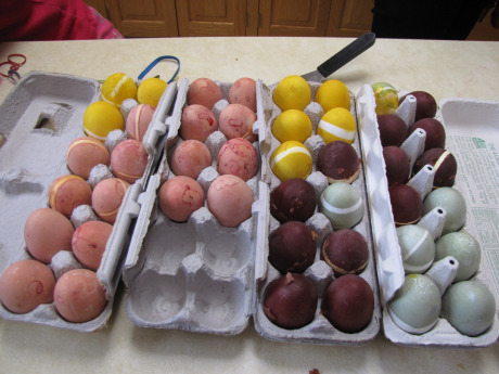 eggs 2013.jpg